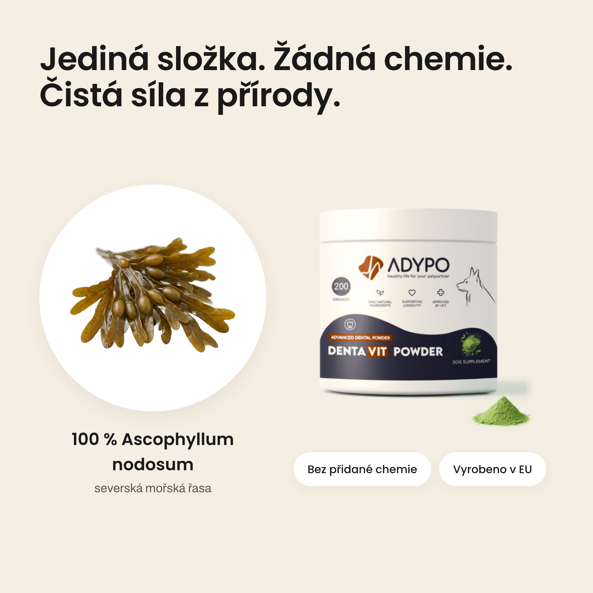 Jediná složka – 100 % Ascophyllum nodosum, severská mořská řasa