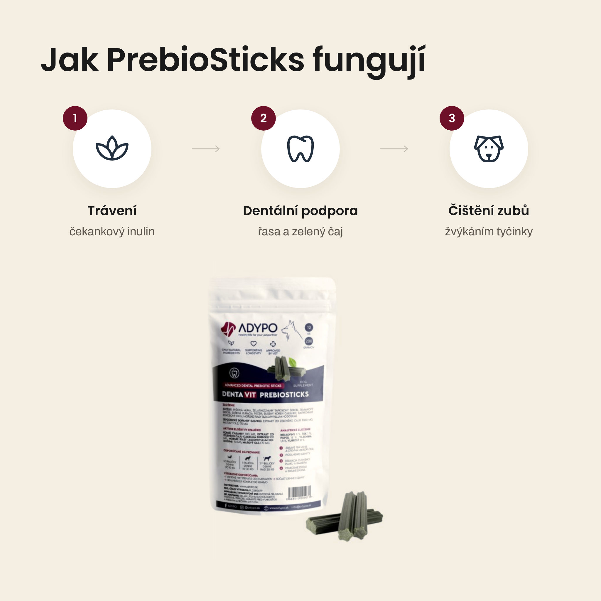 Jak PrebioSticks fungují – trávení, dentální podpora, čištění zubů