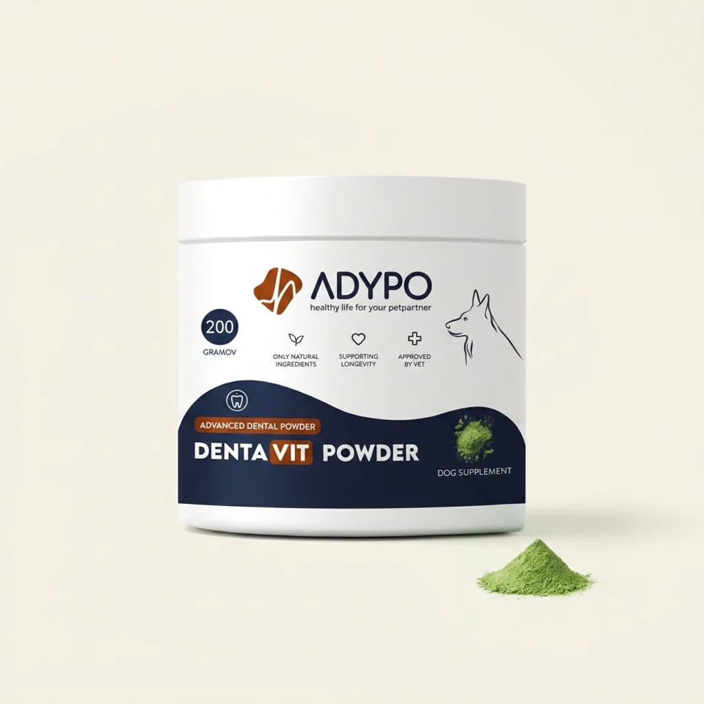 ADYPO Dental Powder – balení produktu