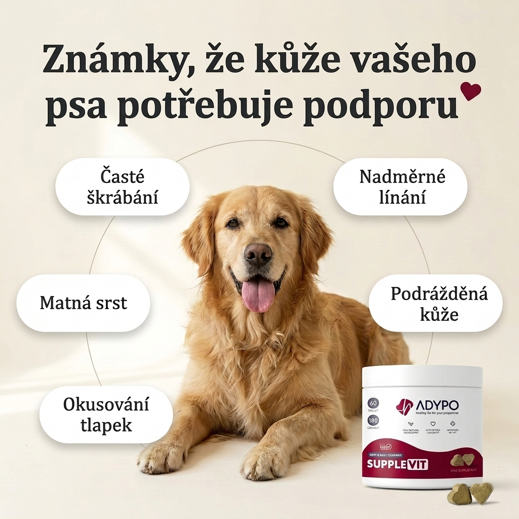 Známky, že kůže vašeho psa potřebuje podporu – škrábání, matná srst, okusování tlapek, podrážděná kůže, línání