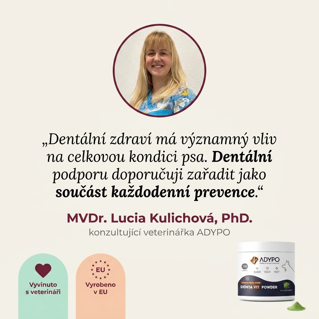 MVDr. Lucia Kulichová, PhD. doporučuje dentální podporu jako součást každodenní prevence