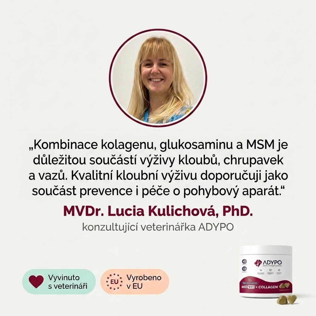 Doporučení veterinářky – MVDr. Lucia Kulichová o kloubní výživě MoVit