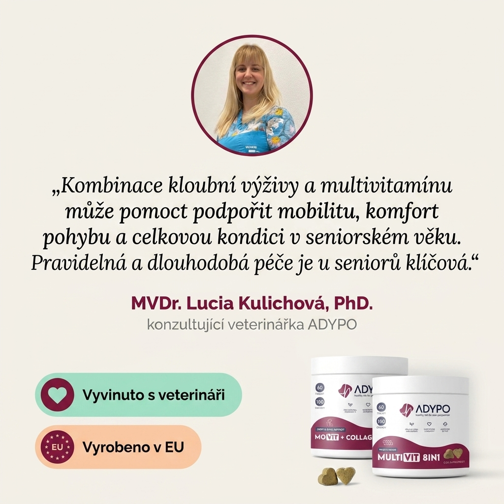 MVDr. Lucia Kulichová, PhD., konzultující veterinářka ADYPO — doporučení Senior Combo pro seniorní psy