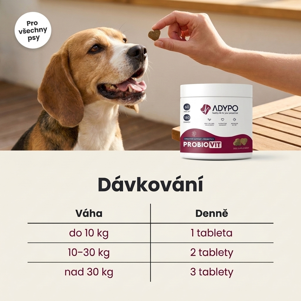 Dávkování ProbioVit podle váhy psa – 1 až 3 tablety denně
