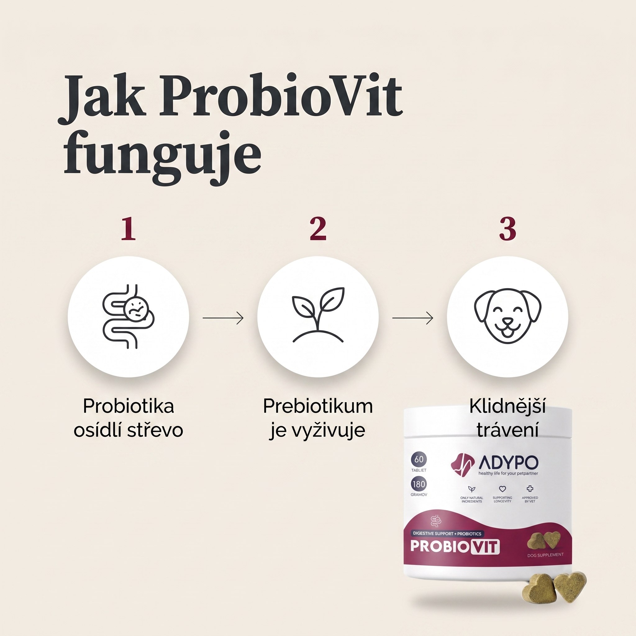 Jak ProbioVit funguje