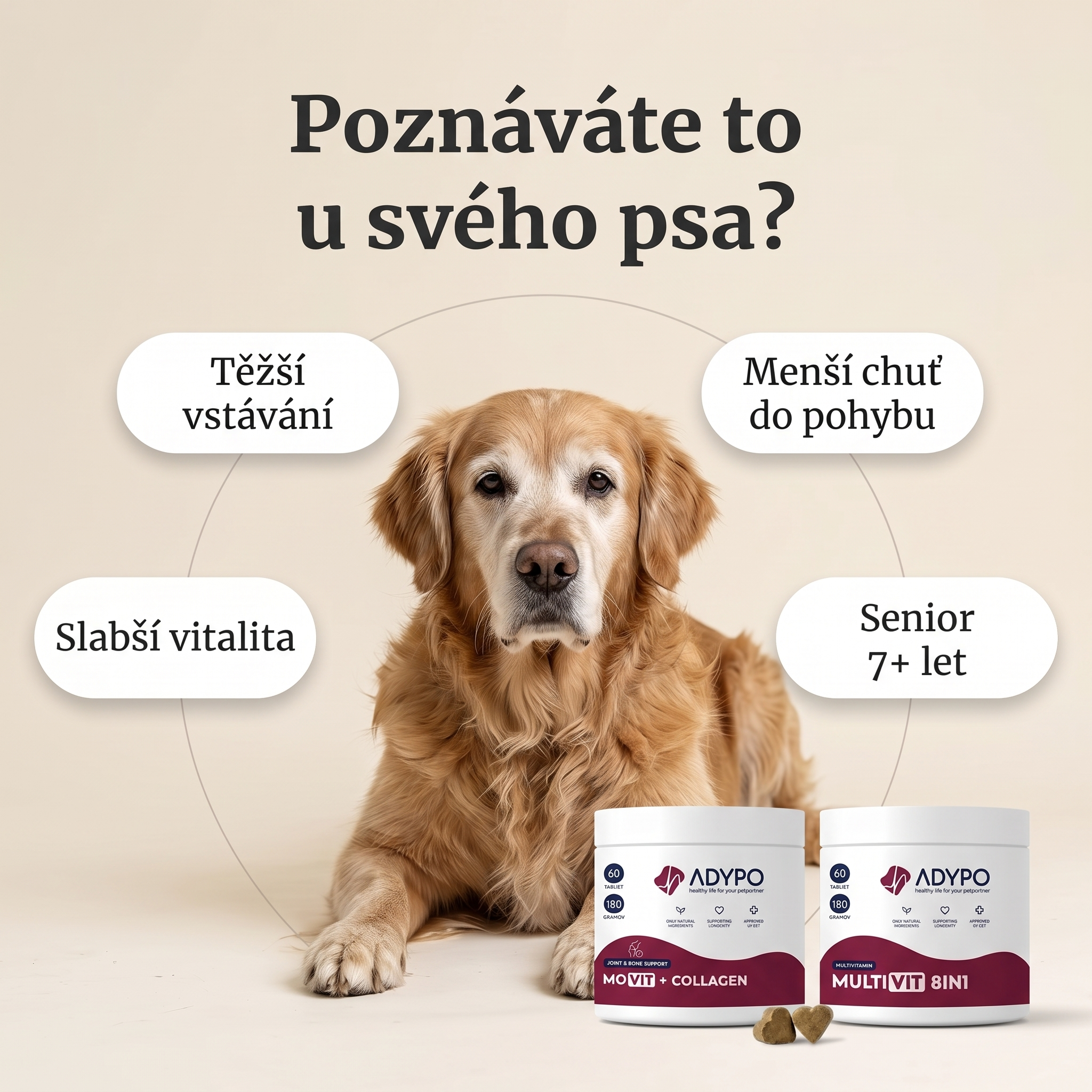 KOMBO Senior – poznáváte to u svého psa