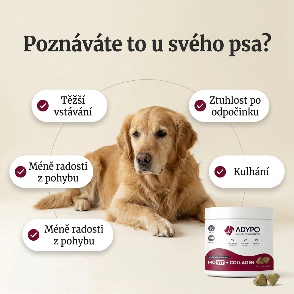 ADYPO MoVit Collagen – klouby a kosti s kolagenem