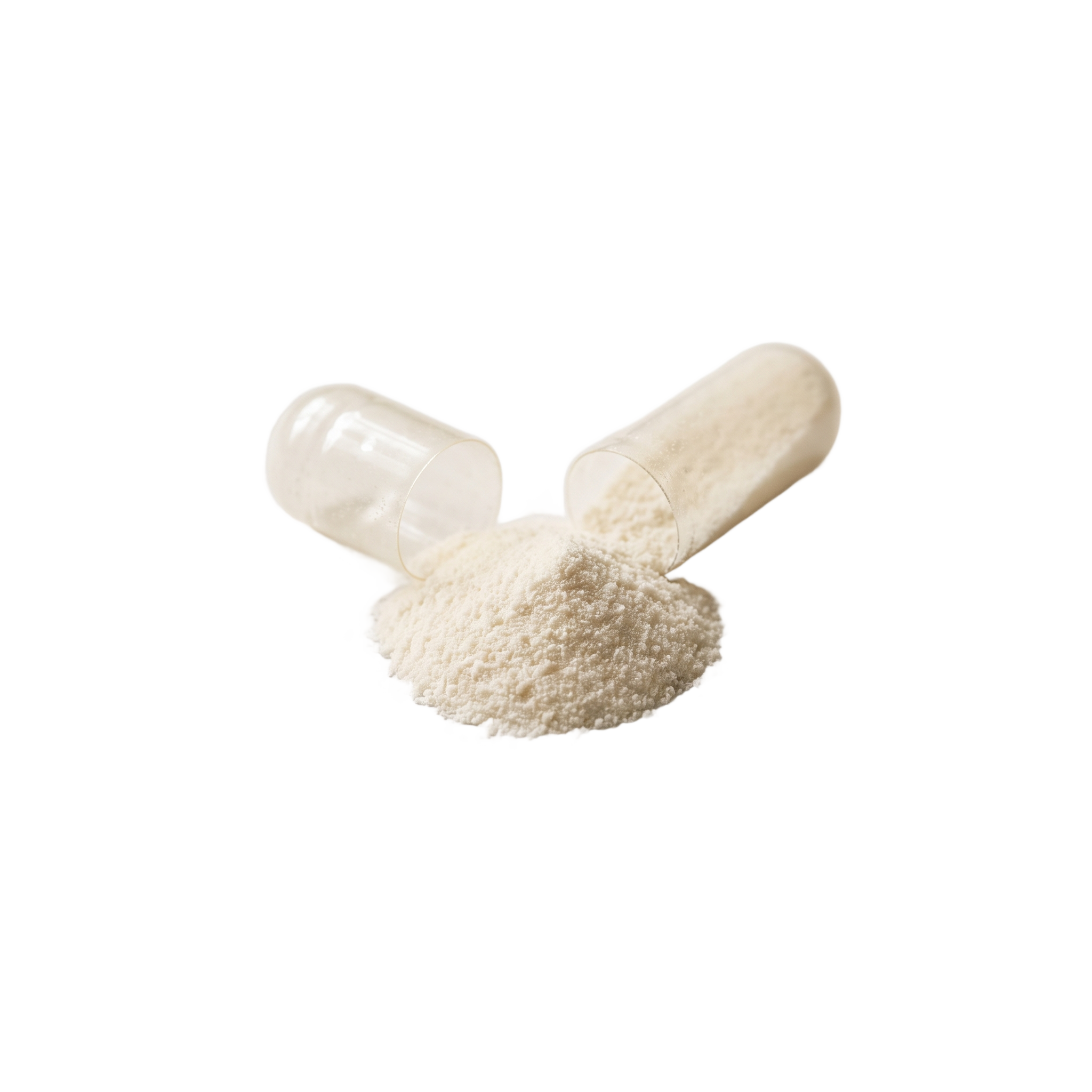 Probiotika