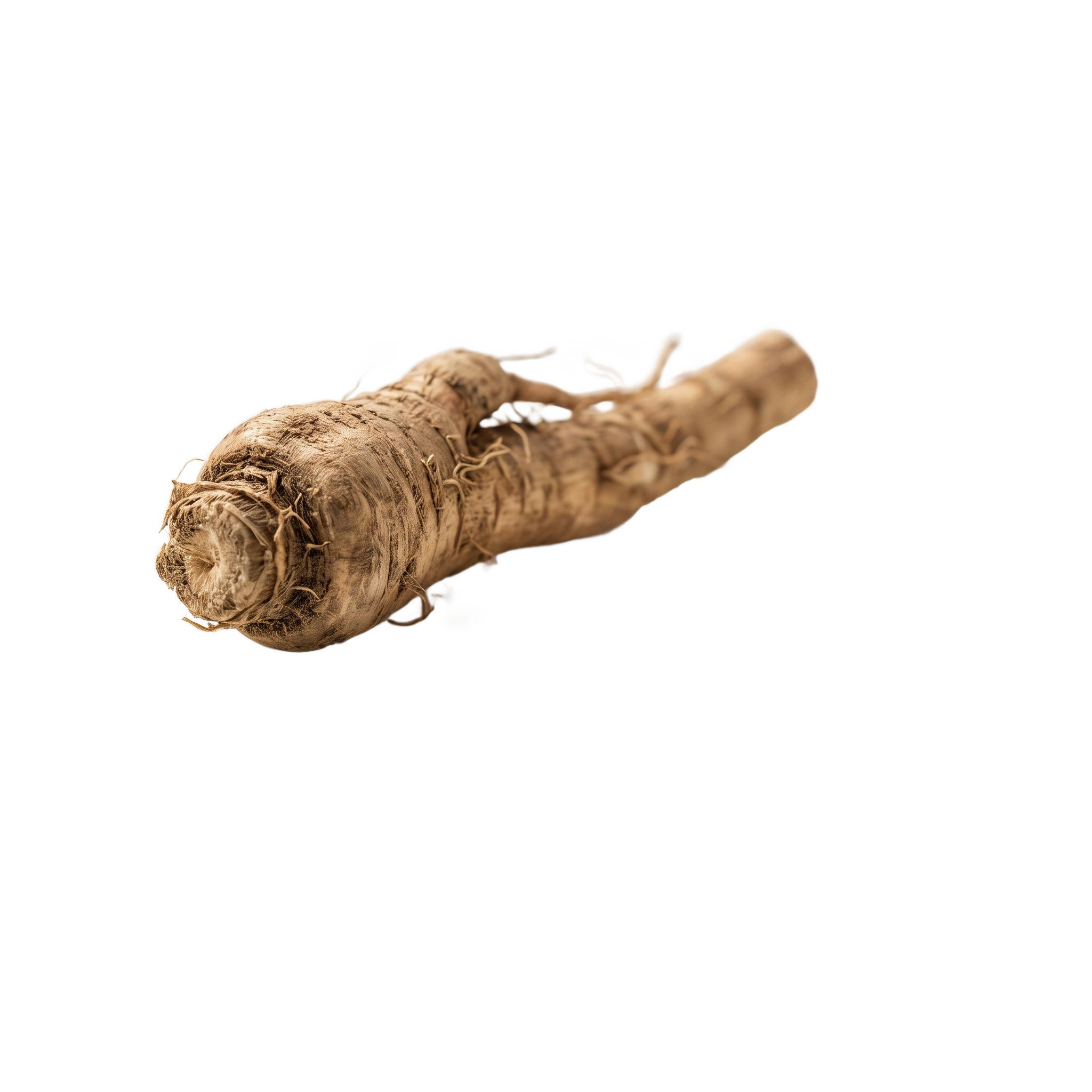 Inulin z čekanky